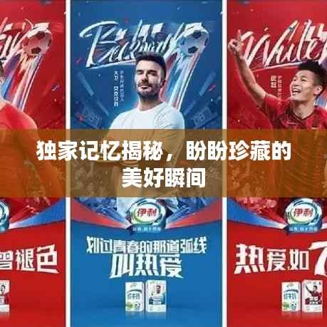 独家记忆揭秘,盼盼珍藏的美好瞬间