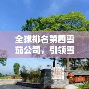 全球排名第四雪茄公司,引领雪茄文化风潮的卓越力量