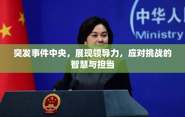 突发事件中央,展现领导力,应对挑战的智慧与担当