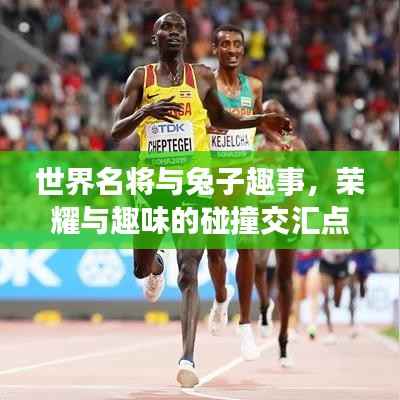 世界名将与兔子趣事,荣耀与趣味的碰撞交汇点