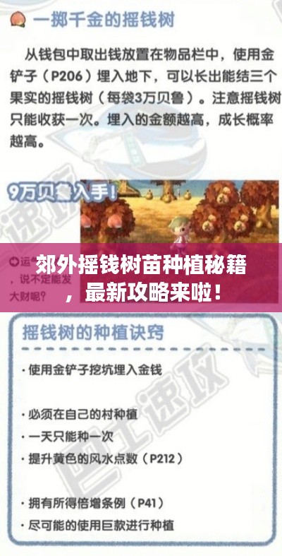 郊外摇钱树苗种植秘籍,最新攻略来啦!