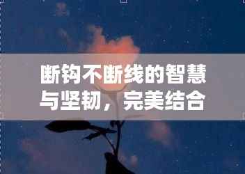 断钩不断线的智慧与坚韧,完美结合的力量