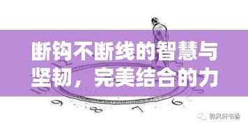 断钩不断线的智慧与坚韧，完美结合的力量