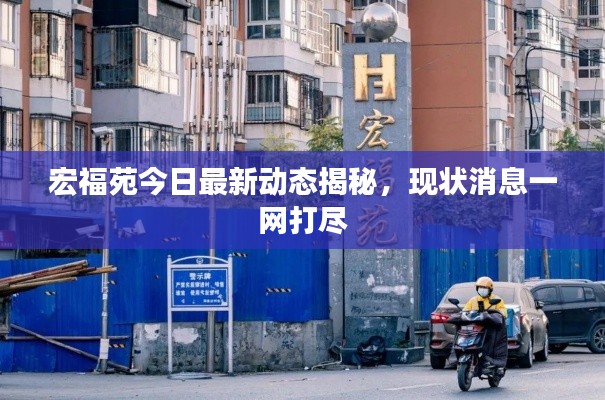宏福苑今日最新动态揭秘,现状消息一网打尽