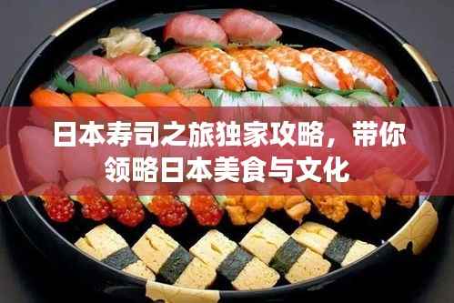 日本寿司之旅独家攻略,带你领略日本美食与文化