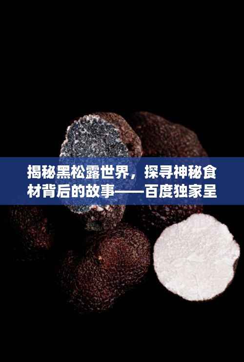 揭秘黑松露世界,探寻神秘食材背后的故事——百度独家呈现