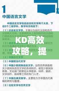 KD高效攻略，提升效率的实用指南全解析