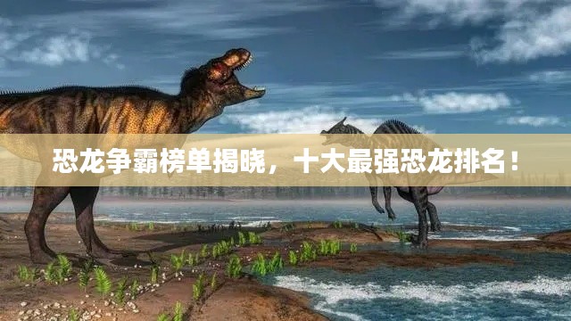 云龙井蛙 第4页