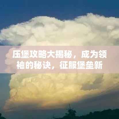 压堡攻略大揭秘,成为领袖的秘诀,征服堡垒新姿势!