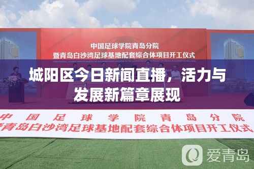 城阳区今日新闻直播，活力与发展新篇章展现