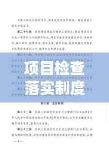 项目检查落实制度,构建高效执行力的核心基石