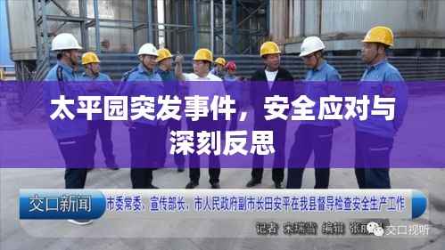 太平园突发事件，安全应对与深刻反思