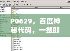 P0629,百度神秘代码,一搜即知!
