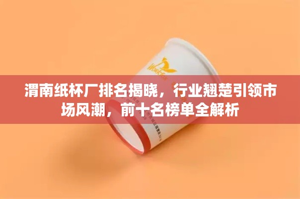 渭南纸杯厂排名揭晓,行业翘楚引领市场风潮,前十名榜单全解析
