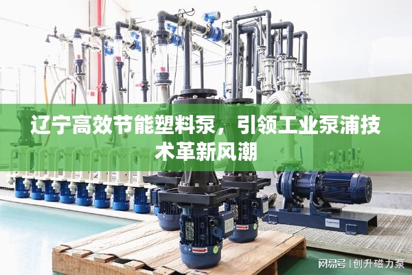 辽宁高效节能塑料泵,引领工业泵浦技术革新风潮