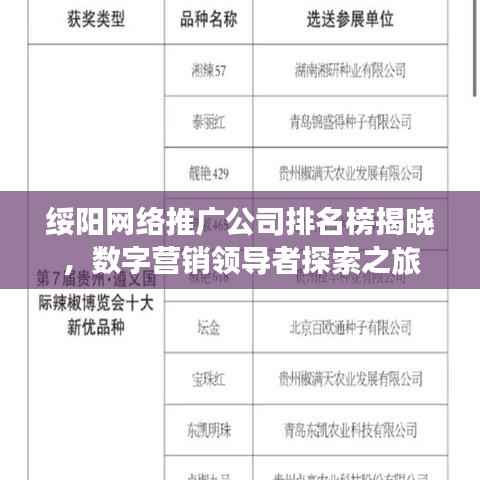 绥阳网络推广公司排名榜揭晓,数字营销领导者探索之旅