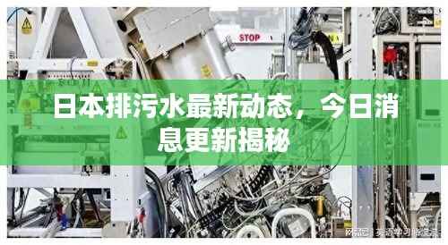 日本排污水最新动态，今日消息更新揭秘
