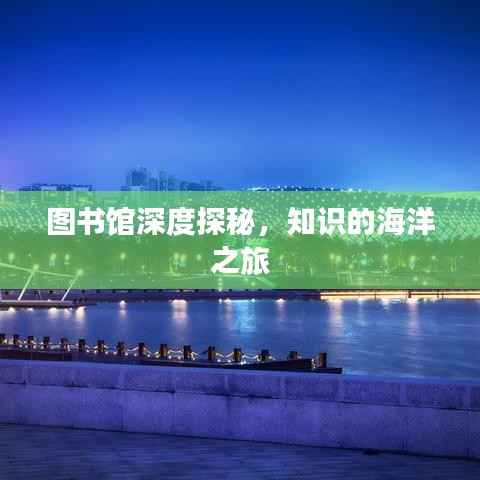图书馆深度探秘,知识的海洋之旅