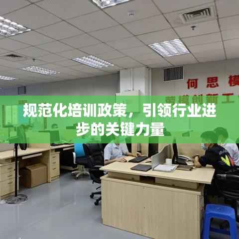 规范化培训政策，引领行业进步的关键力量