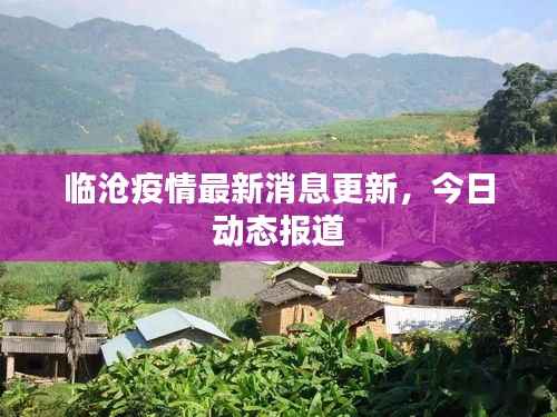 临沧疫情最新消息更新,今日动态报道