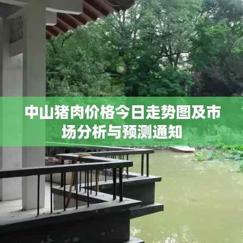 中山猪肉价格今日走势图及市场分析与预测通知