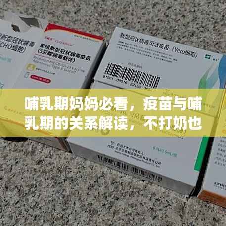 哺乳期妈妈必看,疫苗与哺乳期的关系解读,不打奶也能安心接种!