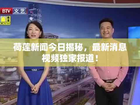 荷莲新闻今日揭秘,最新消息视频独家报道!