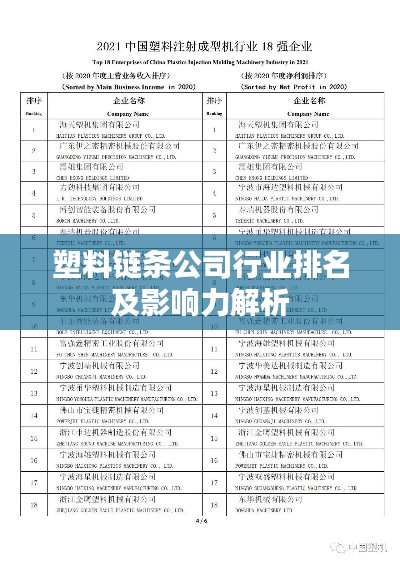塑料链条公司行业排名及影响力解析