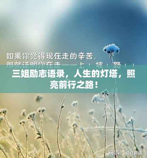 三姐励志语录，人生的灯塔，照亮前行之路！
