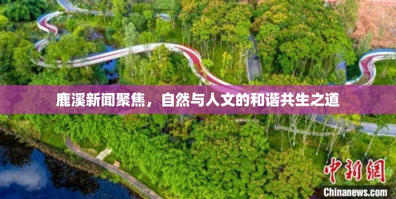 温柔敦厚 第5页