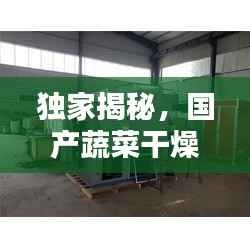 独家揭秘,国产蔬菜干燥机公司排名及行业影响力榜单