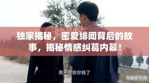 独家揭秘,密爱绯闻背后的故事,揭秘情感纠葛内幕!
