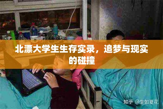 北漂大学生生存实录,追梦与现实的碰撞