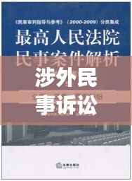 涉外民事诉讼程序深度解析，专题探讨揭秘