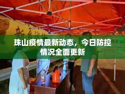 珠山疫情最新动态，今日防控情况全面更新