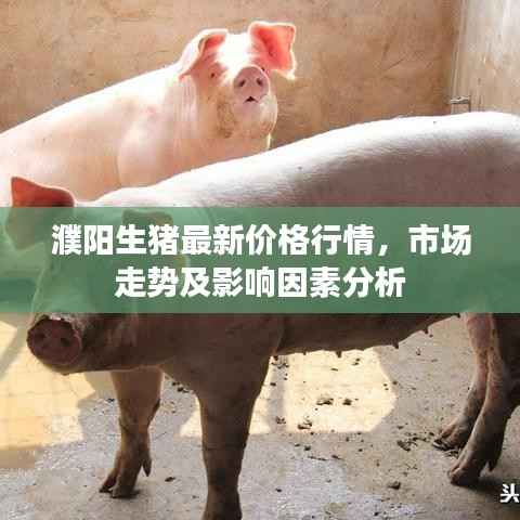 虎视眈眈 第4页