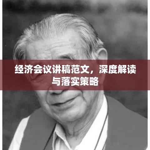 经济会议讲稿范文,深度解读与落实策略