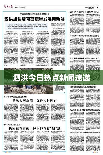 泗洪今日热点新闻速递