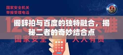阁辞拍与百度的独特融合,揭秘二者的奇妙结合点