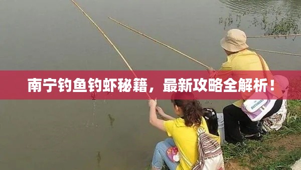 南宁钓鱼钓虾秘籍,最新攻略全解析!