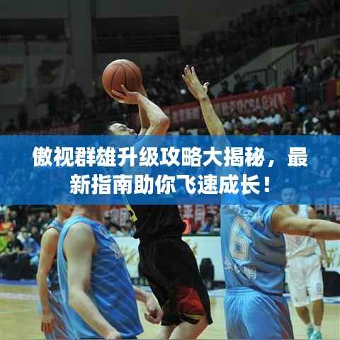傲视群雄升级攻略大揭秘,最新指南助你飞速成长!