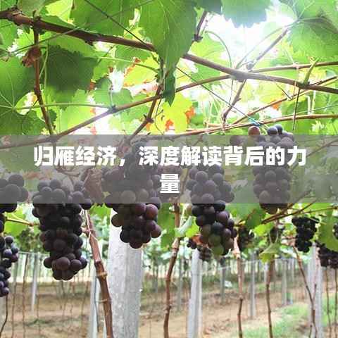 飞檐走壁 第4页