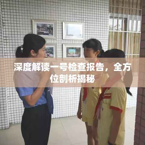深度解读一号检查报告,全方位剖析揭秘
