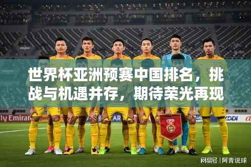 世界杯亚洲预赛中国排名,挑战与机遇并存,期待荣光再现