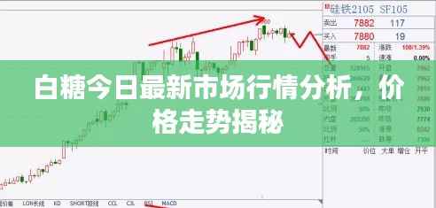 白糖今日最新市场行情分析，价格走势揭秘