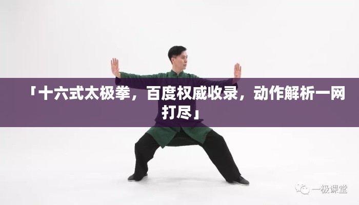 「十六式太极拳,百度权威收录,动作解析一网打尽」