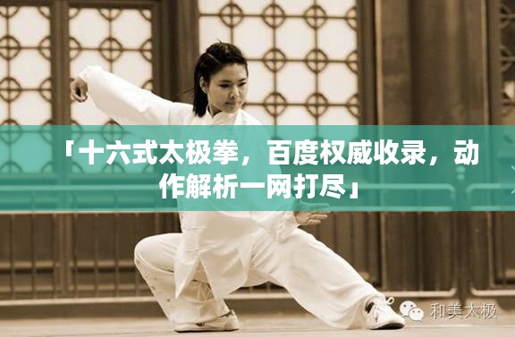 「十六式太极拳,百度权威收录,动作解析一网打尽」