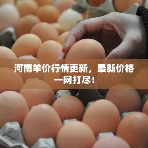 河南羊价行情更新,最新价格一网打尽!