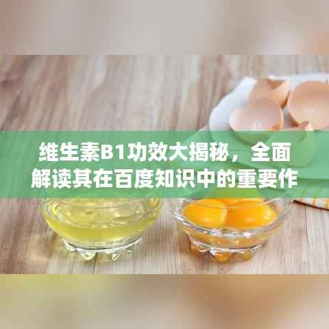 维生素B1功效大揭秘,全面解读其在百度知识中的重要作用与功效
