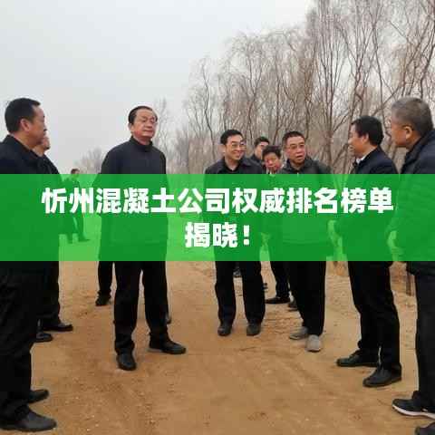 忻州混凝土公司权威排名榜单揭晓!